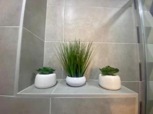 twee witte potten met planten op een plank in een badkamer bij SMILJANA in Banja Koviljača