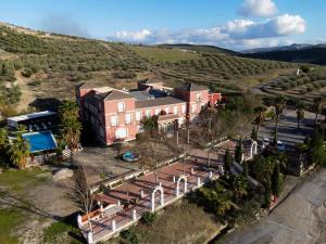 an aerial view of a house in a vineyard at Complejo turístico Fuente de la Salud in Baena