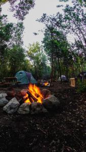 Gallery image of Camping Aldea Molco in Pucón