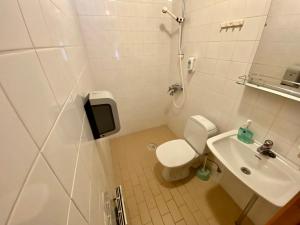 a small bathroom with a toilet and a sink at Villa Rapakivi in Heinola