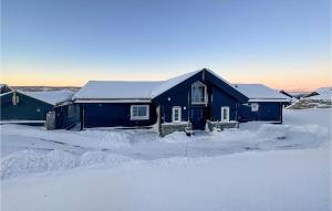 a blue house is covered in snow at Nice Home In yer With Kitchen in Øyer