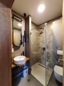 a bathroom with a shower and a sink and a toilet at Apartman Jahorina MD in Jahorina