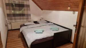- une chambre avec 2 lits dotés d'oreillers bleus dans l'établissement Apartma Uršič, à Kranjska Gora