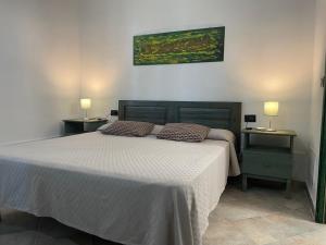 Un dormitorio con una cama grande con dos mesas y dos lámparas. en Casa Su Catreathu, en Orosei