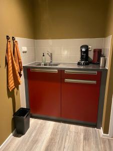 uma cozinha com um armário vermelho e um lavatório em Bed and Breakfast Stinzenflora em Cornjum
