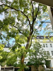 ein großer Baum vor einem weißen Gebäude in der Unterkunft #Family & Friends# Ruhig, grün, gleich in der City in Wien