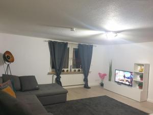 a living room with a couch and a ceiling fan at Stylish accommodation in the middle of Wiesbaden in Wiesbaden