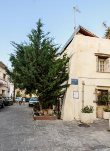 a tree in front of a building with a tree at House Erofili in Chania
