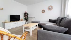 TV a/nebo společenská místnost v ubytování Jardín Araguás