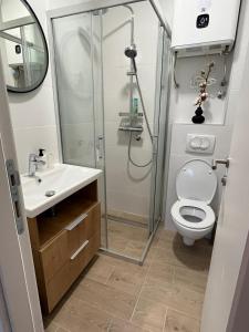 a bathroom with a shower and a toilet at Randevu Nivalis in Jahorina