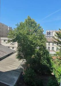 un arbre sur le côté d'un bâtiment dans l'établissement Joli appartement bois de Vincennes, metro 1, rer A, à Vincennes