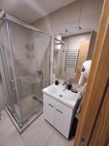 a bathroom with a shower and a white sink at Lux apartmani Dunja Kopaonik Čardaci - GREEN in Kopaonik +22 photos