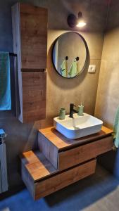 a bathroom with a sink and a mirror at Apartman Noa in Jušići +8 photos