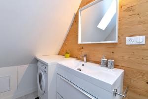 a bathroom with a sink and a washing machine at Magnifique Gite Le Clos des pierres Route des Vins d'Alsace in Beblenheim +33 photos