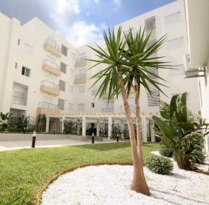 a palm tree in front of a building at Luxury 127m Apartment in Jardins de Carthage with Balcony, Private Parking & Prime Location in Sidi Daoud