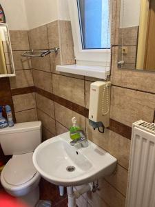 a bathroom with a sink and a toilet and a window at Ubytovanie u Katky in Bobrovec