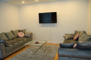 uma sala de estar com dois sofás e uma televisão na parede em Pink Lotus Apartment em Viena