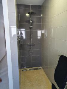 La salle de bains est pourvue d'une douche avec un pommeau de douche. dans l'établissement Holidays House, à São Martinho do Porto