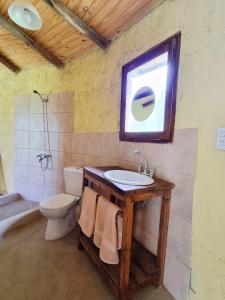 Buda de Uco Lodge في تونويان: حمام مع حوض ومرحاض ونافذة