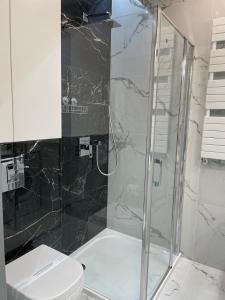 een badkamer met een toilet en een glazen douche bij Apartment z kominkiem w sercu Wrocławia in Wrocław