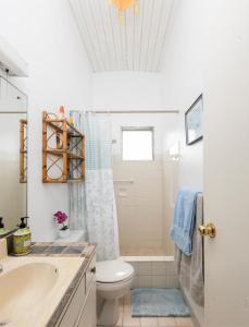 a bathroom with a sink and a toilet and a shower at Villa 46 in Saint James
