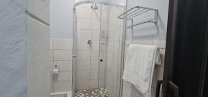 a bathroom with a shower with a glass door at Black Owl Lodge in Kempton Park