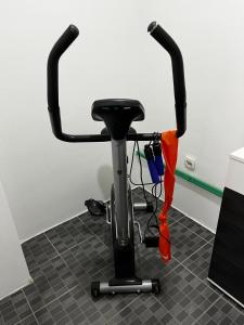 Fitness centrum a/nebo fitness zařízení v ubytování Silver Apartment