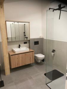 een badkamer met een wastafel, een toilet en een spiegel bij Pension Sunnseitn - Gasthof - Café - Weinkeller in Haslach an der Mühl