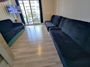 salon z czarną kanapą i drewnianą podłogą w obiekcie 1120 Śmiałego 41 - Tanie Pokoje w Apartamencie - samodzielne zameldowanie - self check in w Poznaniu