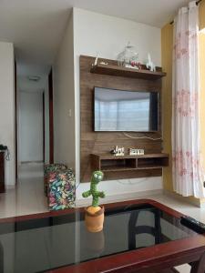 a living room with a flat screen tv and a plant at Pousada Márcia Elizondo in Belém