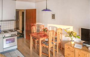 uma cozinha com uma mesa de madeira e cadeiras numa cozinha em Ferienwohnpark Gustow em Gustow