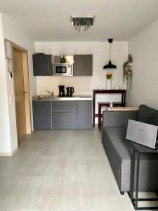Dapur atau dapur kecil di Life ATMOsphäre Apartment Lahr-Schwarzwald
