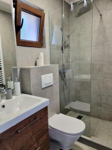 La salle de bains est pourvue d'une douche, de toilettes et d'un lavabo. dans l'établissement Vila Lucic Zlatibor, à Zlatibor