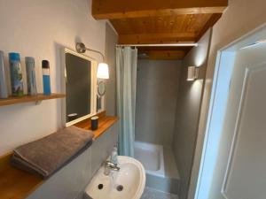 un bagno con lavandino, specchio e doccia di Apartment Wilhelmstr für bis zu 3 Personen a Brühl Altre 13 foto
