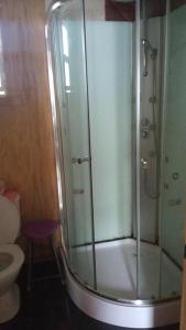 La salle de bains est pourvue d'une douche en verre et de toilettes. dans l'établissement departamentos don Pato, à Castro