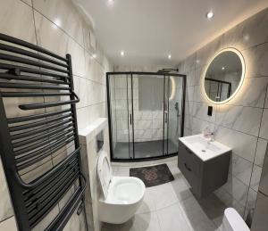 łazienka z toaletą, umywalką i prysznicem w obiekcie Pembrokeshire Holiday Accommodation w mieście Pembrokeshire