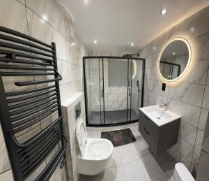 a bathroom with a toilet and a sink and a shower at Pembrokeshire Holiday Accommodation in Pembrokeshire