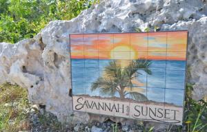 a painting of a palm tree on a rock at Savannah Sunset home in Savannah Sound