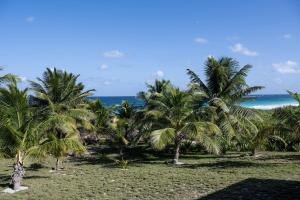 un grupo de palmeras en una playa con el océano en Atlantic Sunrise Villa villa, en James Cistern