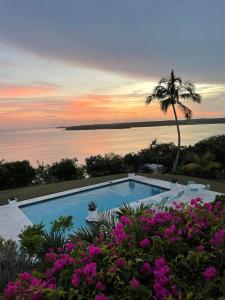 - une piscine avec un palmier et des fleurs roses dans l'établissement Halcyon House home, à Savannah Sound