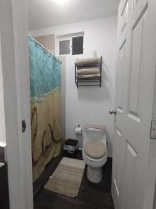a bathroom with a toilet and a shower curtain at Estudio a 15 min caminando de la terminal de autobuses ADO in Cancún