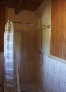 a shower with a shower curtain in a bathroom at Aparamentos Los Notros Neltume Huilo Huilo in Neltume