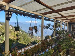 a porch with plants and a view of the mountains at Hotel Sakura in Darjeeling
