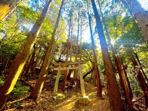 下関市にある自然豊かな隠れ家 ゲストハウス和村Nagomuraの森の中の木製ベンチ