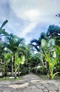 a road with palm trees on the sides of it at 3WILL Bunaken Dive Resort in Bunaken