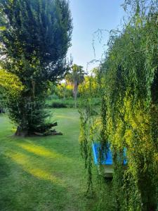 Φωτογραφία από το άλμπουμ του Albaricoque σε Tigre