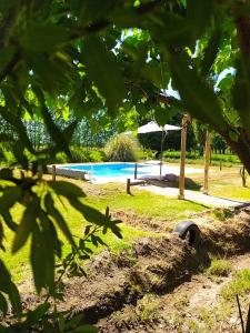 un patio con piscina y un árbol en Casa Rural La Serena Cabaña en San Rafael