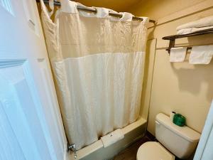 a bathroom with a shower curtain and a toilet at Economy Inn in Houma
