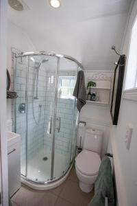 a bathroom with a shower and a toilet at Dove Cottage in Auckland
