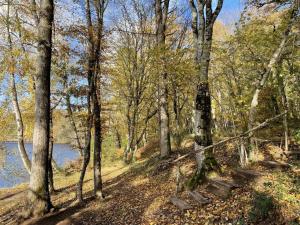 Zdjęcie z galerii obiektu Gîte nature avec terrasse, près étang Morat, pêche, Wi-Fi, idéal famille et randonneurs - FR-1-489-415 w mieście Saint-Bonnet-Tronçais